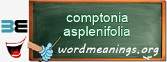 WordMeaning blackboard for comptonia asplenifolia
